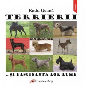 Terrierii si fascinanta lor lume