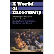 A World of Insecurity. Anthropological Perspectives on Human Security