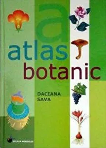 Atlas botanic de Daciana Sava
