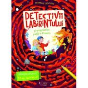 Detectivii labirintului si enigmatica pasare Phoenix