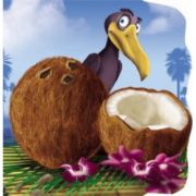 Nuca de cocos. Primii pasi