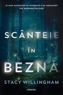 Scânteie în beznă de Stacy Willingham