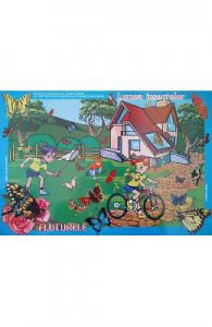 Set cu planse: In lumea insectelor