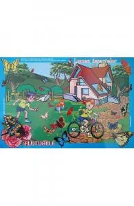 Set cu planse: In lumea insectelor de Gheorghina Micula