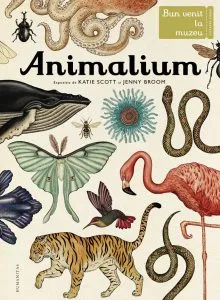 Animalium. Bun venit la muzeu. Intrarea libera de Jenny Broom