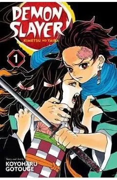 Demon Slayer: Kimetsu no Yaiba Vol.1 de Koyoharu Gotouge
