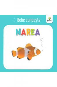 Marea