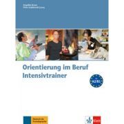 Orientierung im Beruf. Erfolgreich handeln im Beruf. Intensivtrainer mit Audio-CD
