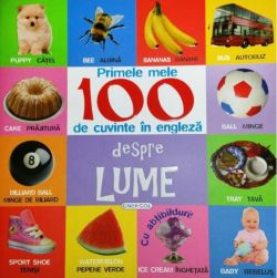 Primele mele 100 de cuvinte în engleză. Despre lume (cu abțibilduri)