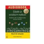 Retelele de socializare explicate. Descalcirea celei mai neintelese tendinte din lumea afacerilor (audiobook) de Mark W. Schaefer