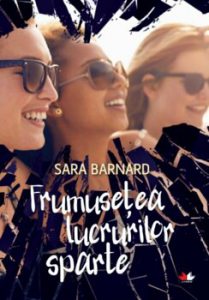 Frumusetea lucrurilor sparte