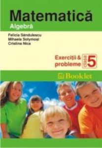 Matematica - Algebra. Exercitii si probleme. Clasa a V-a