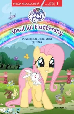 My Little Pony. Visul lui Fluttershy
