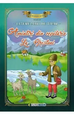 Amintiri din copilarie. La Brosteni. Carte de colorat cu povesti scrisa cu litere mari de tipar de Autor Anonim