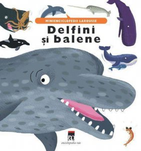 Delfini si balene