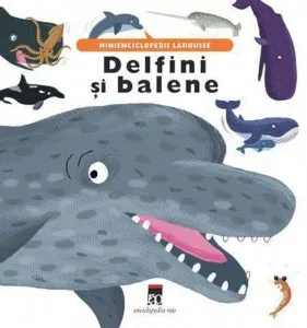 Delfini si balene