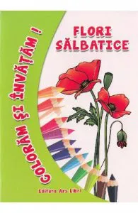 Flori salbatice de Coloram si invatam!