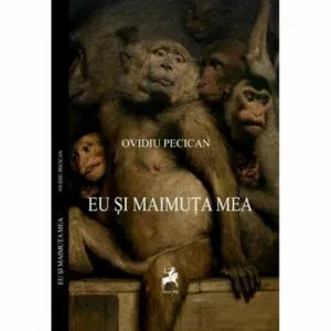 Labirintul marturisirii de Razvan Voncu
