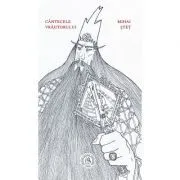 Cantecele vrajitorului de Mihai Stet