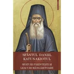 Sfaturi parintesti si leacuri mangaietoare de Sf. Daniil Katunakiotul