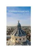 The Romanian Patriarchate. History, structure, internal and external activities (2007-2017) de Colectiv de autori