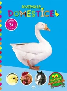 Animale domestice
