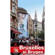 Ghid turistic BRUXELLES si BRUGES de Adina Baranovschi