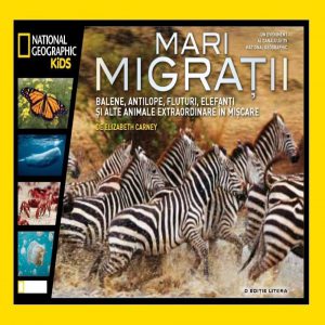 Mari migratii