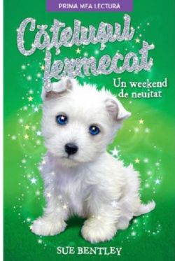 Un week-end de neuitat