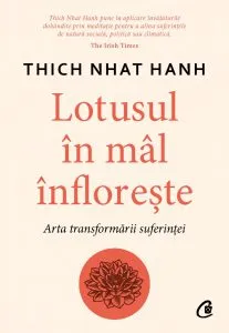 Lotusul in mal infloreste
