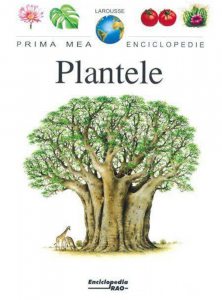 Plantele