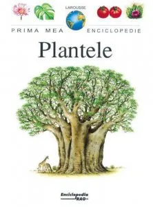 Plantele