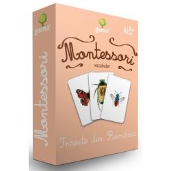 Insecte din Romania. Carti de joc Montessori vocabular
