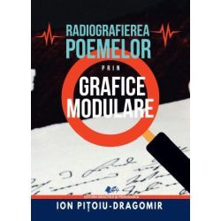 Radiografierea poemelor prin grafice modulare