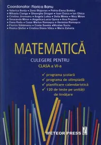 Matematica. Culegere pentru clasa a VI-a de Florica Banu