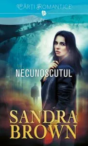 Necunoscutul de Sandra Brown