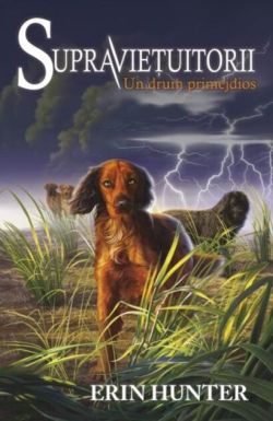 Un drum primejdios. Supraviețuitorii (Vol. 4)