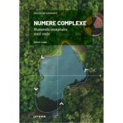 Volumul 24. Mari idei ale matematicii. Numere complexe. Numerele imaginare sunt reale