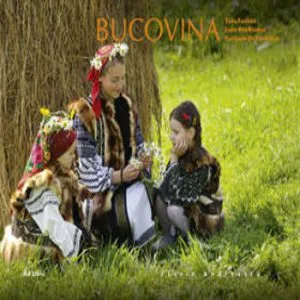 Bucovina Tara Fagilor de Mihai Camilar