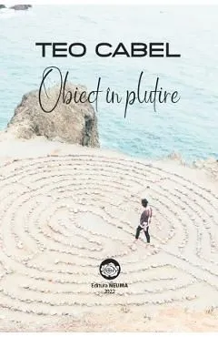 Obiect in plutire de Teo Cabel