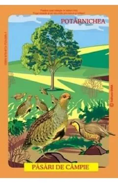 Planse: Pasari din fauna romaniei care traiesc la campie de Istina Mirescu