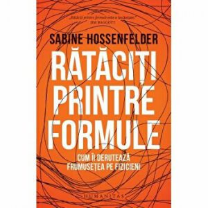 Rataciti printre formule. Cum ii deruteaza frumusetea pe fizicieni