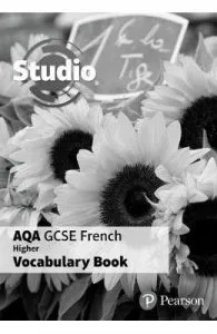 Studio AQA GCSE French Higher Vocab Book (pack of 8) de Angela Stanley