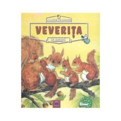 Animale salbatice in natura. Veverita