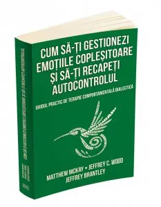 Cum sa-ti gestionezi emotiile coplesitoare si sa-ti recapeti autocontrolul de Jeffrey C. Wood