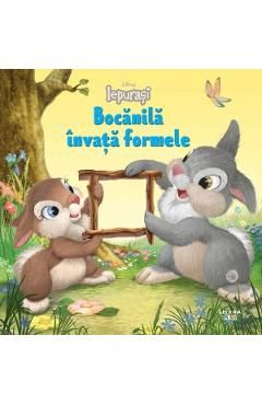 Disney Iepurasi. Bocanila invata formele
