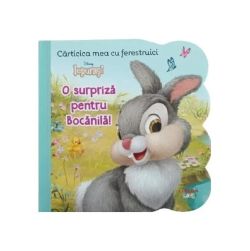 Disney Iepurași. O surpriză pentru Bocănilă