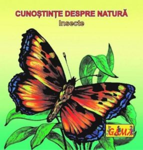 Insecte - Pliante cartonate