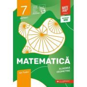 Matematica. Algebra, geometrie. Caiet de lucru. 2024 Clasa a 7-a. Initiere. Partea I