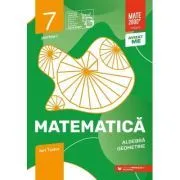 Matematica. Algebra, geometrie. Caiet de lucru. 2024 Clasa a 7-a. Initiere. Partea I de Ion Tudor